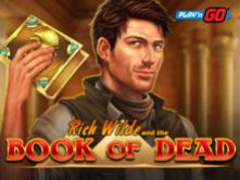 Слот Book of Dead в казино Vavada