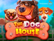 Слот The Dog House в казино Vavada